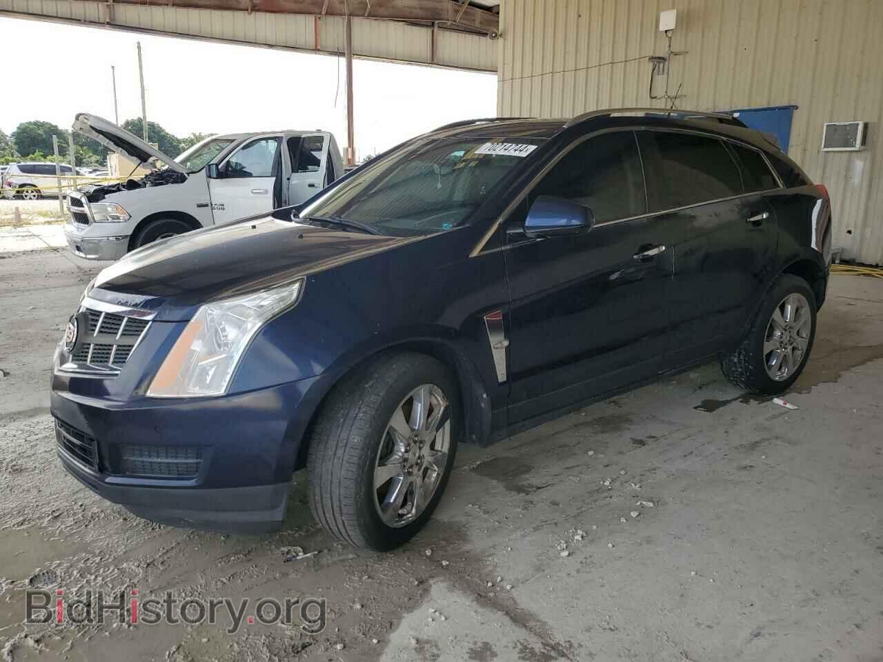 Фотография 3GYFNAEY5AS521963 - CADILLAC SRX 2010