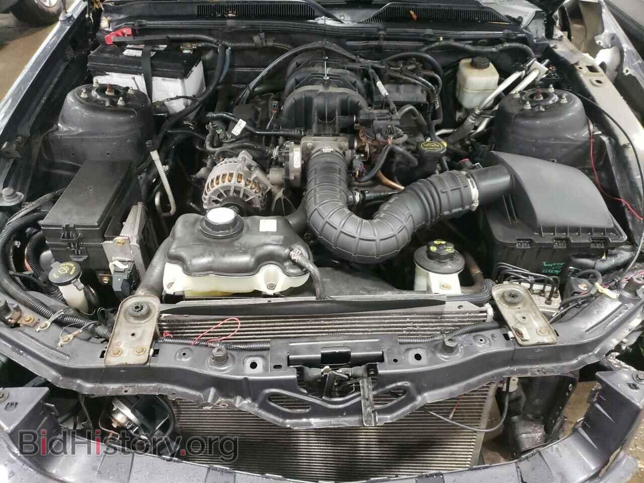 2007 FORD MUSTANG - VIN: 1ZVHT80N975262985 - Фото 7