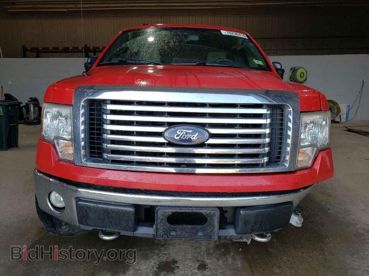 2010 FORD F-150 - VIN: 1FTEW1E89AFA51262 - Фото 5