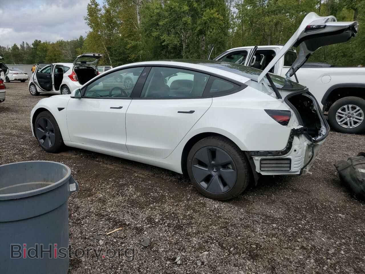2023 TESLA MODEL 3 - VIN: 5YJ3E1EA4PF482554 - Photo 2