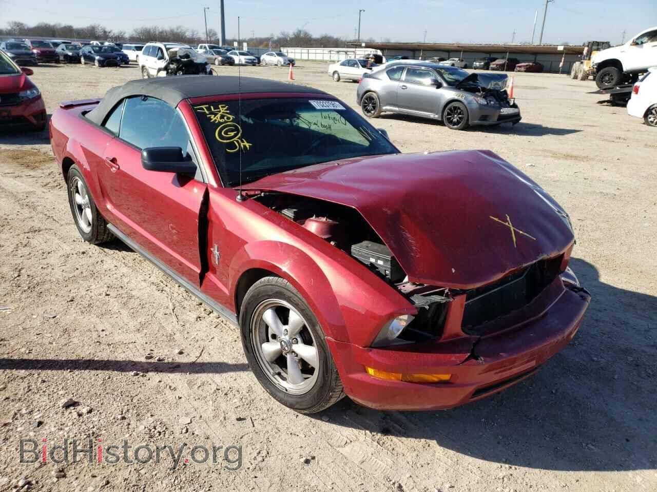 Photo 1ZVFT84N075361843 - FORD MUSTANG 2007