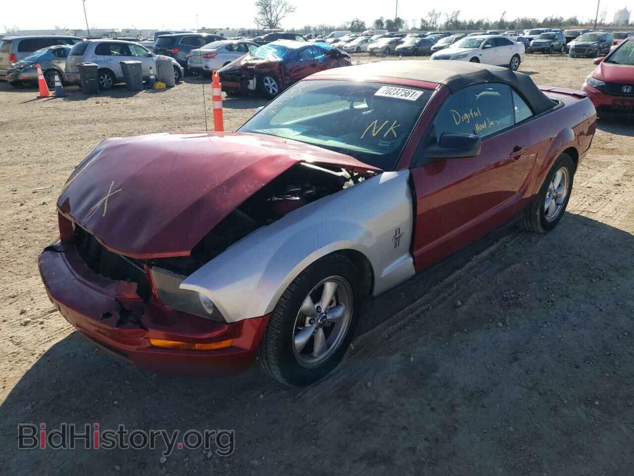 2007 FORD MUSTANG - VIN: 1ZVFT84N075361843 - Фото 2