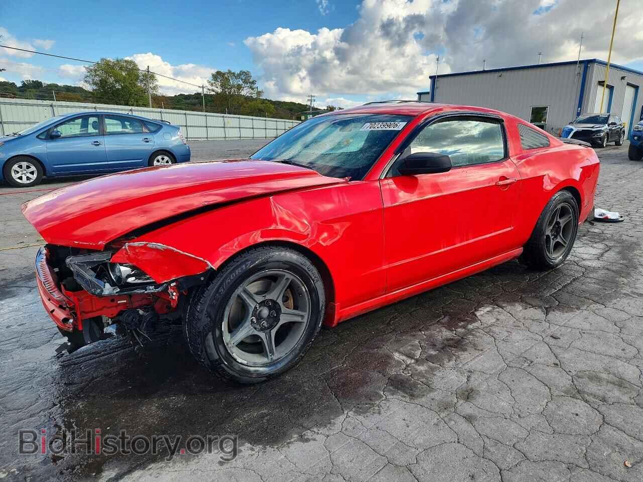 Фотография 1ZVBP8AM4E5315119 - FORD MUSTANG 2014