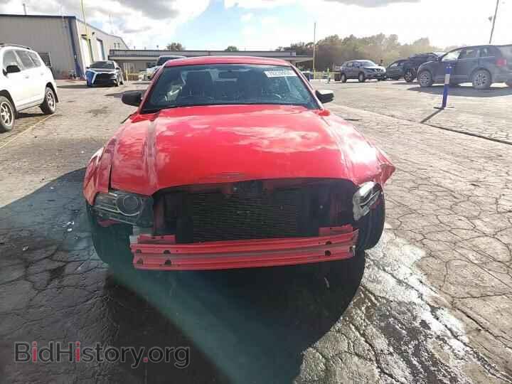2014 FORD MUSTANG - VIN: 1ZVBP8AM4E5315119 - Photo 14