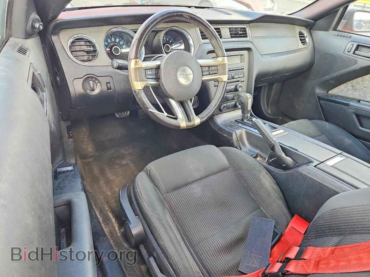 2014 FORD MUSTANG - VIN: 1ZVBP8AM4E5315119 - Photo 8