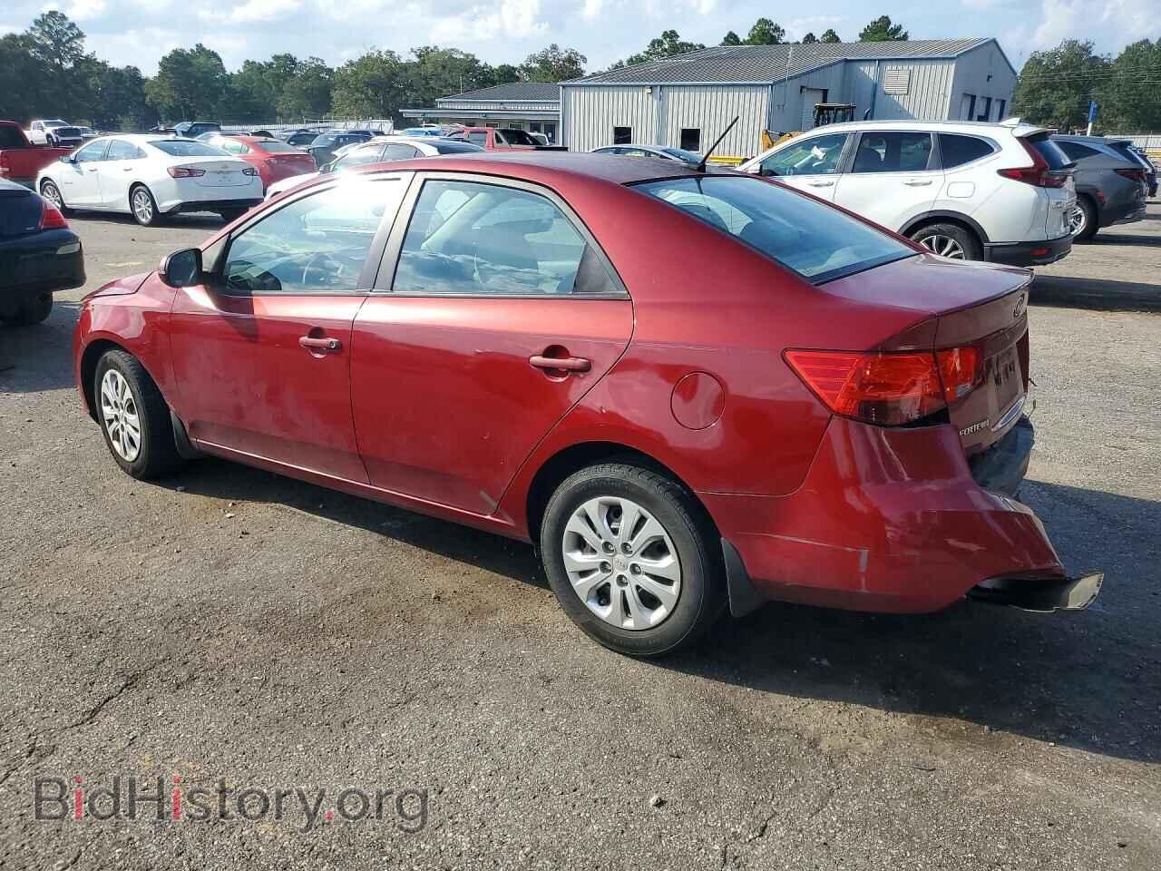 2012 KIA FORTE - VIN: KNAFU4A29C5532499 - Фото 2