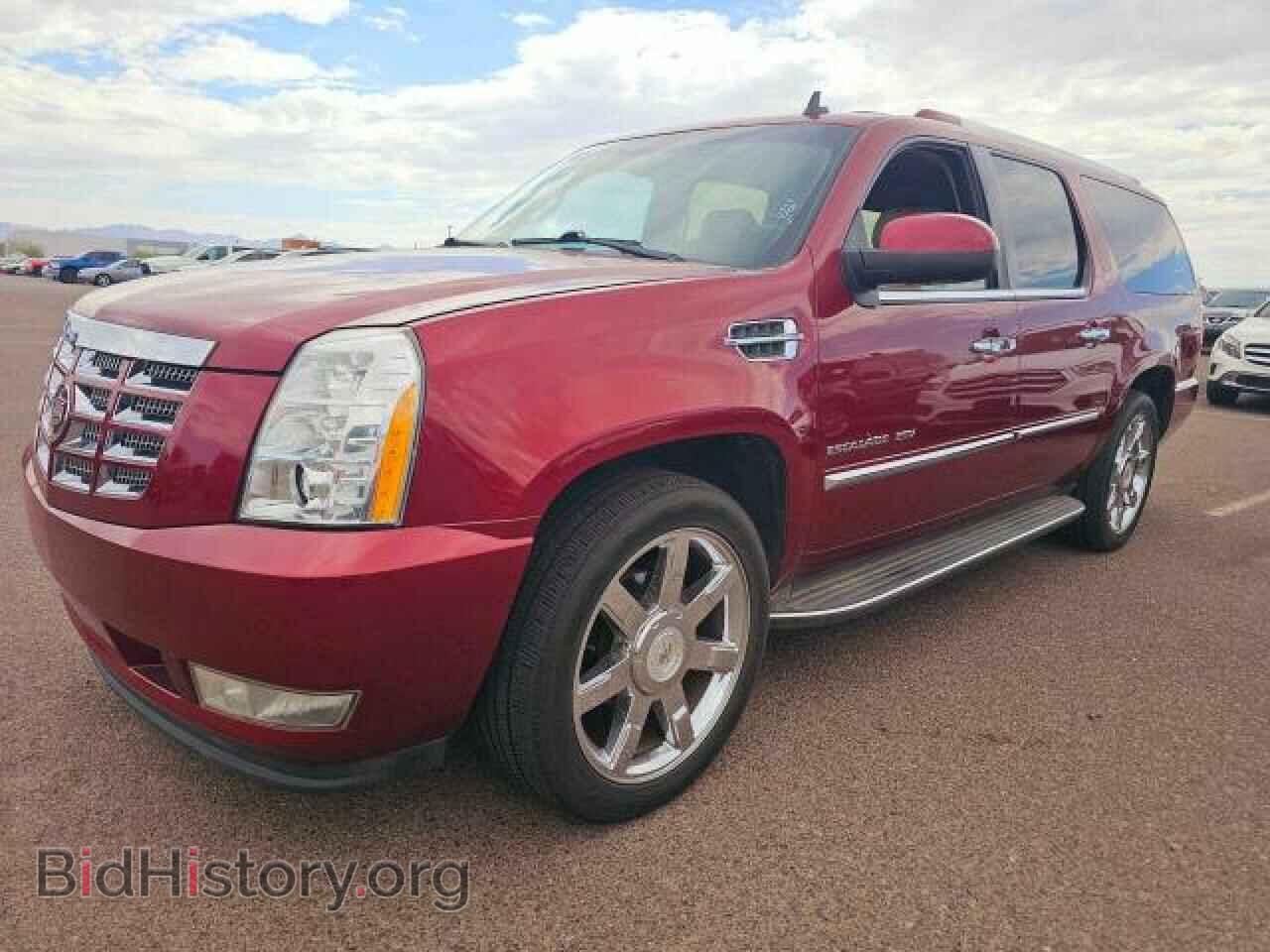 2011 CADILLAC ESCALADE - VIN: 1GYS4HEF1BR303581 - Фото 2