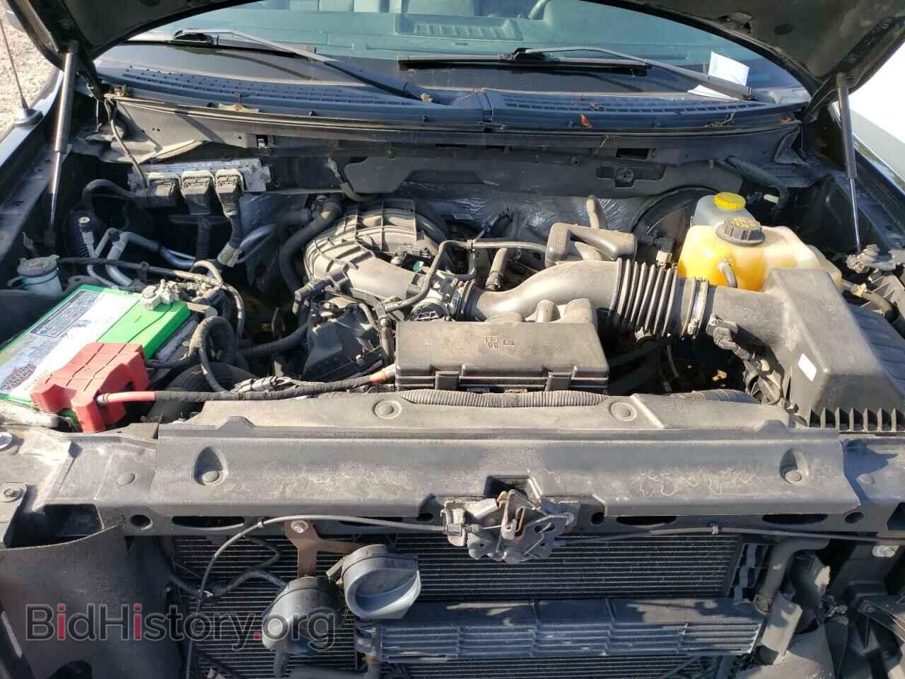 2014 FORD All Models - VIN: 1FTMF1CM7EFB91733 - Фото 11