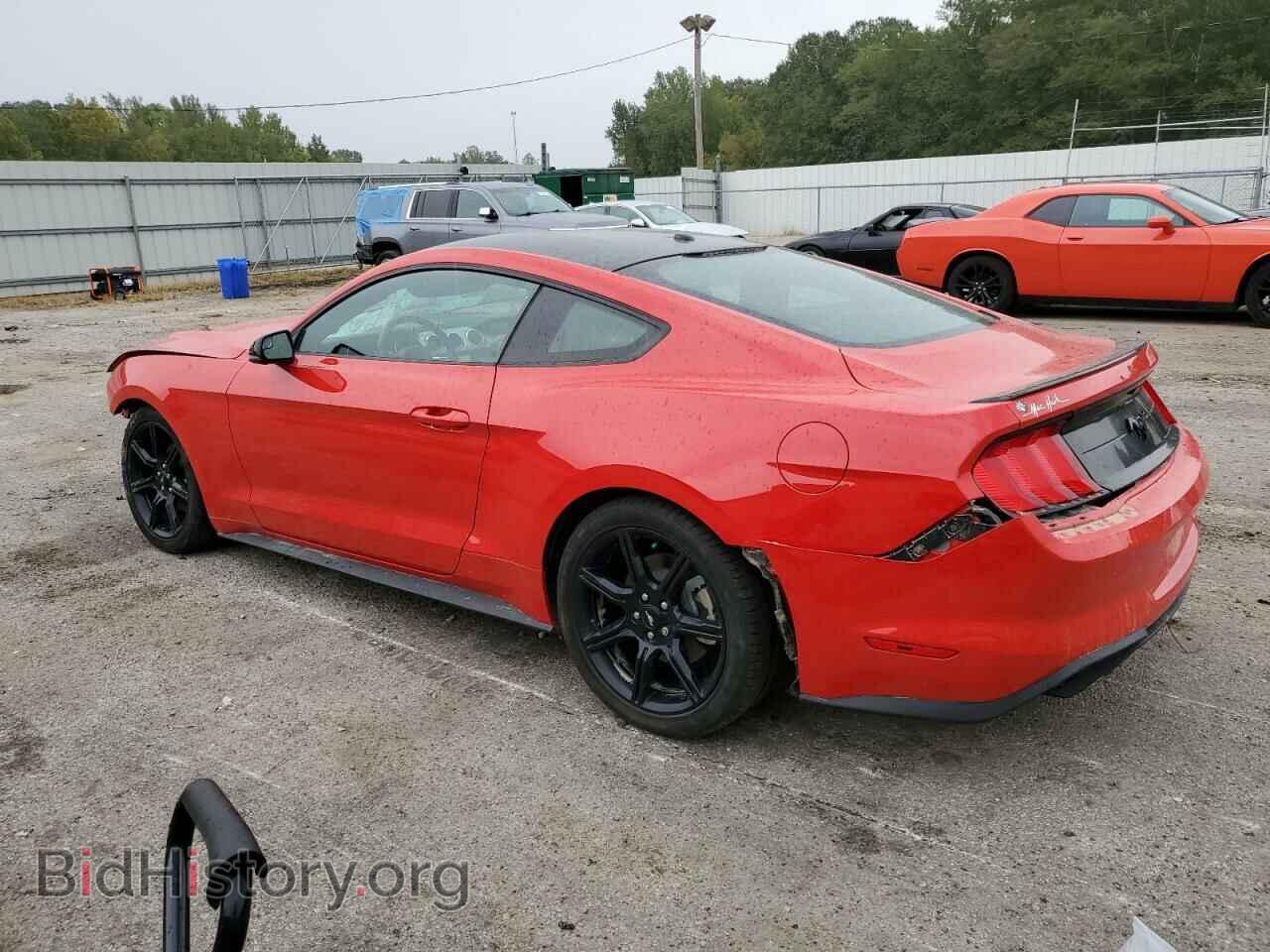 2019 FORD ALL Models - VIN: 1FA6P8TH0K5116851 - Фото 2