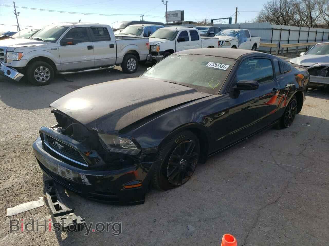 2014 FORD MUSTANG - VIN: 1ZVBP8AM2E5320240 - Фото 2