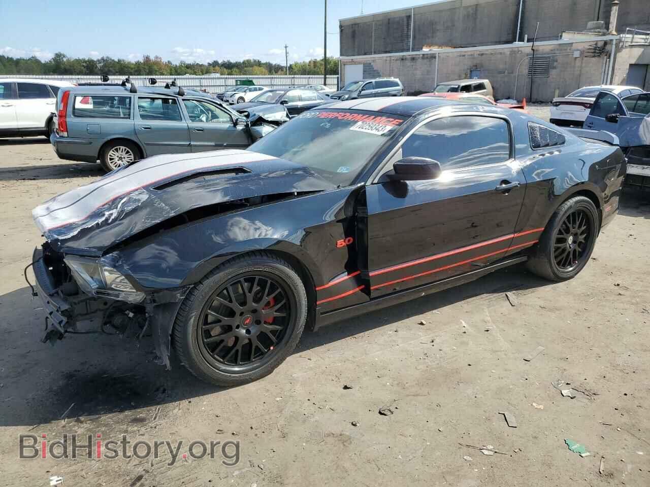 Фотография 1ZVBP8CF7D5256340 - FORD MUSTANG 2013
