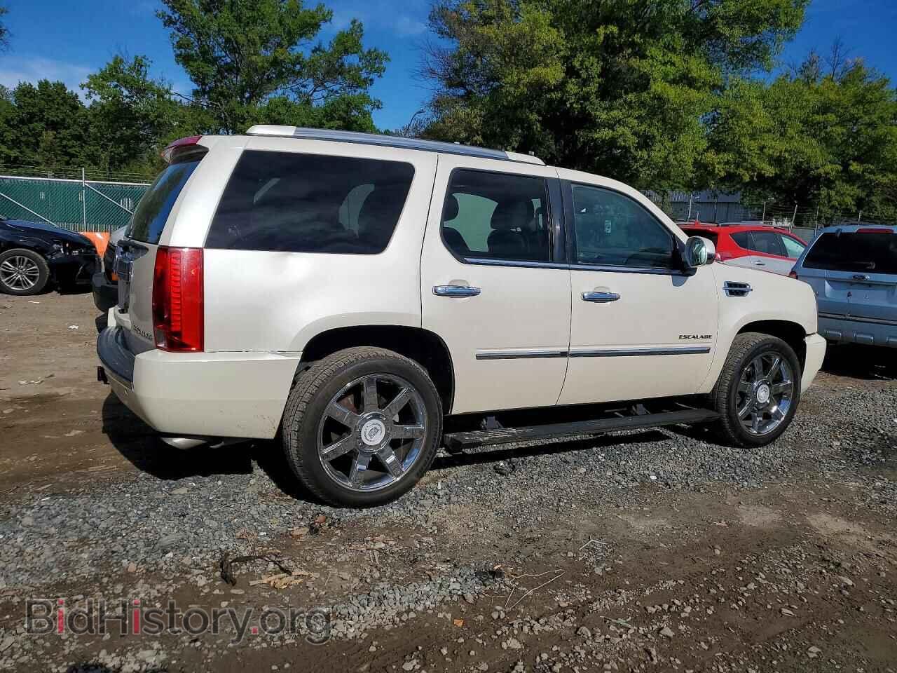 2013 CADILLAC ESCALADE - VIN: 1GYS4BEF7DR243175 - Фото 3