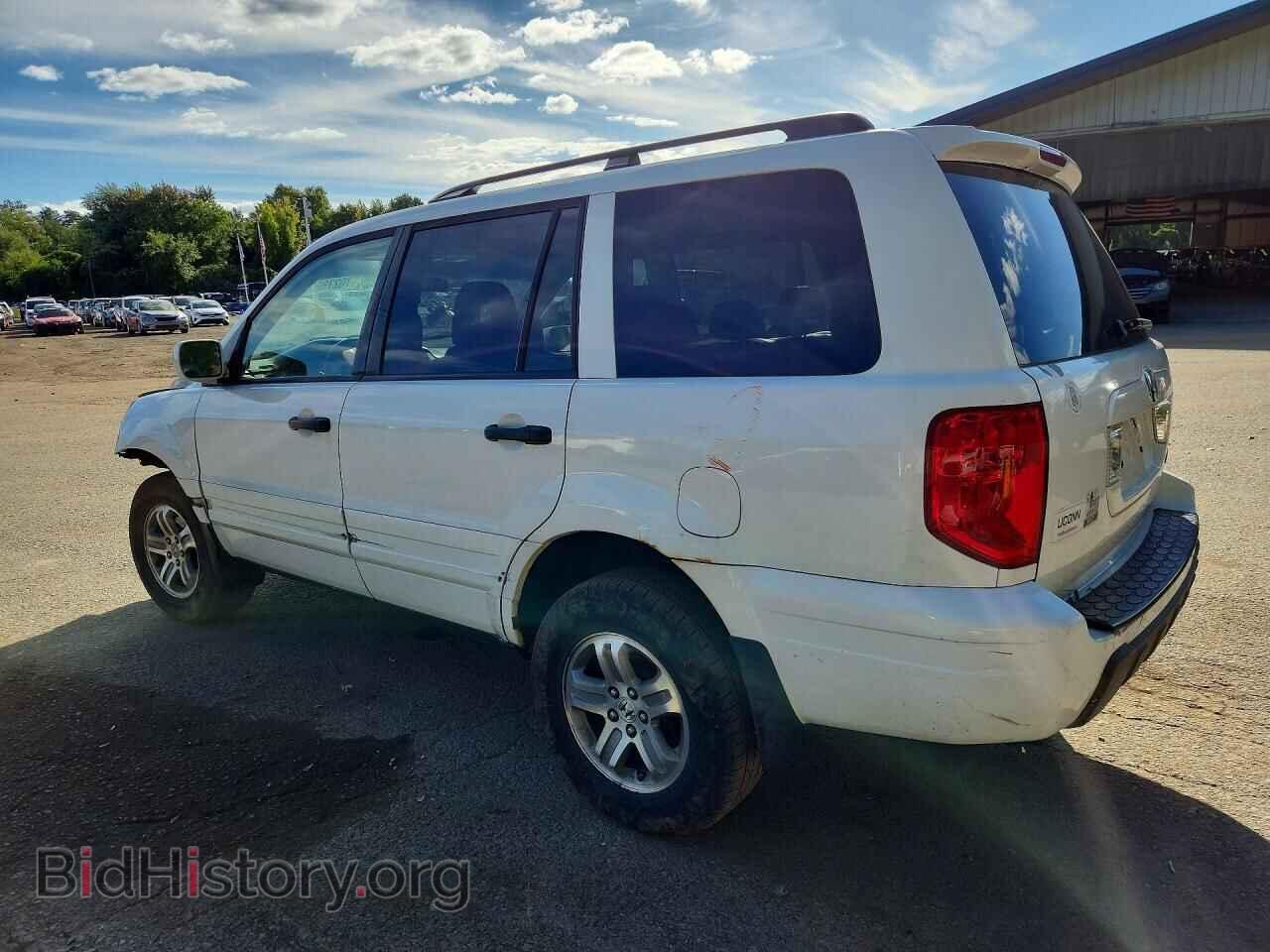 2005 HONDA PILOT - VIN: 2HKYF18555H546746 - Photo 2