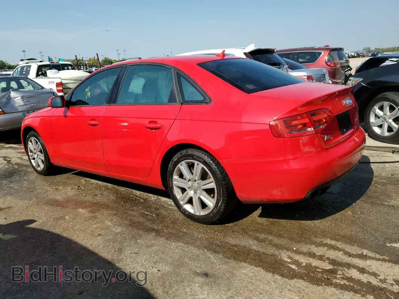 2011 AUDI A4 - VIN: WAUBFAFL8BN014827 - Фото 2