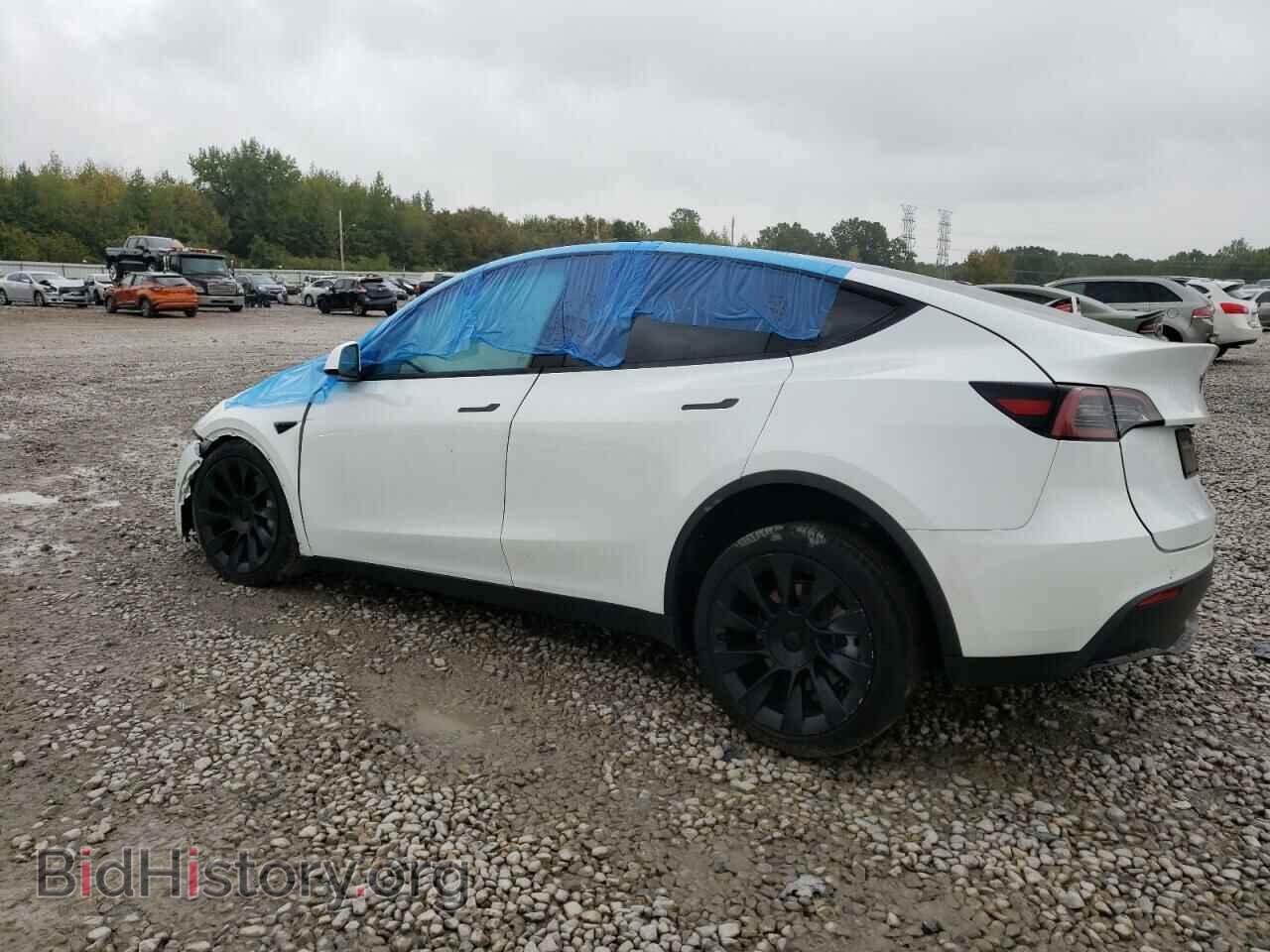 2022 TESLA MODEL Y - VIN: 7SAYGDEE6NF442416 - Фото 2