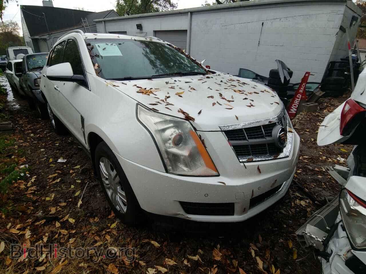 Фотография 3GYFNAE33CS655121 - CADILLAC SRX 2012