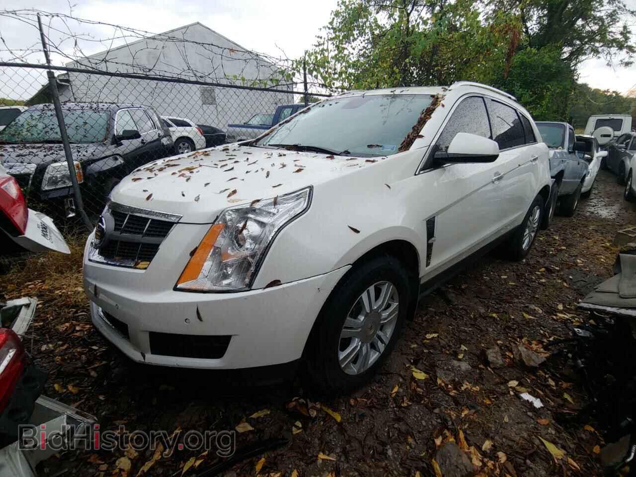 2012 CADILLAC SRX - VIN: 3GYFNAE33CS655121 - Фото 2