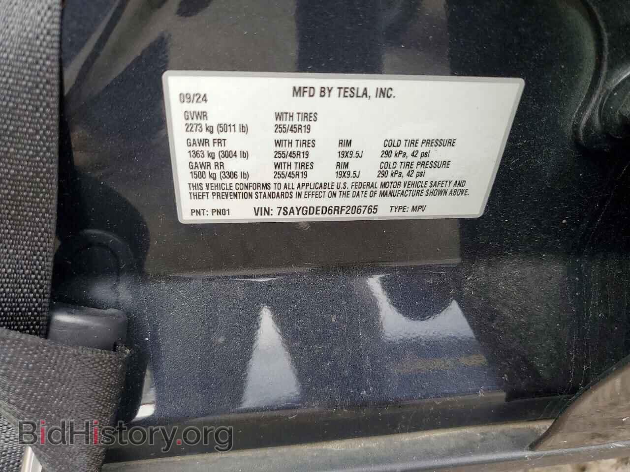 2024 TESLA MODEL Y - VIN: 7SAYGDED6RF206765 - Photo 12