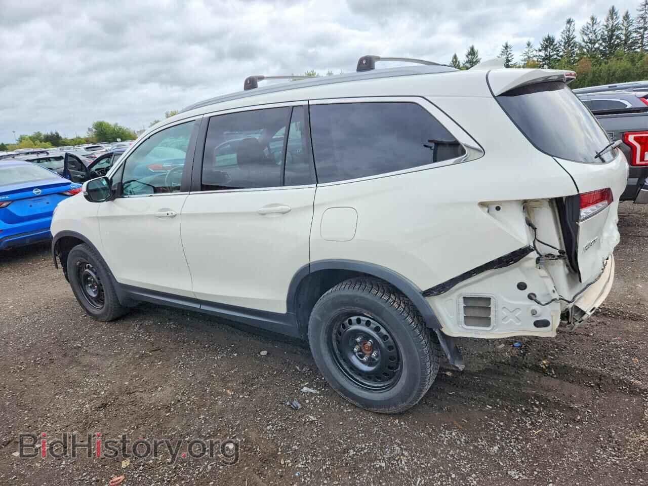 2019 HONDA PILOT - VIN: 5FNYF6H71KB507175 - Фото 2