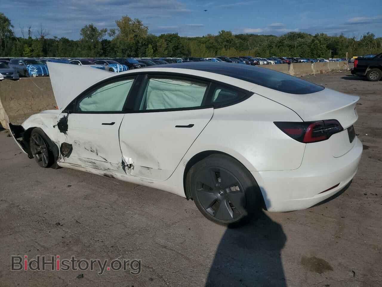 2023 TESLA MODEL 3 - VIN: 5YJ3E1EA8PF504183 - Photo 2