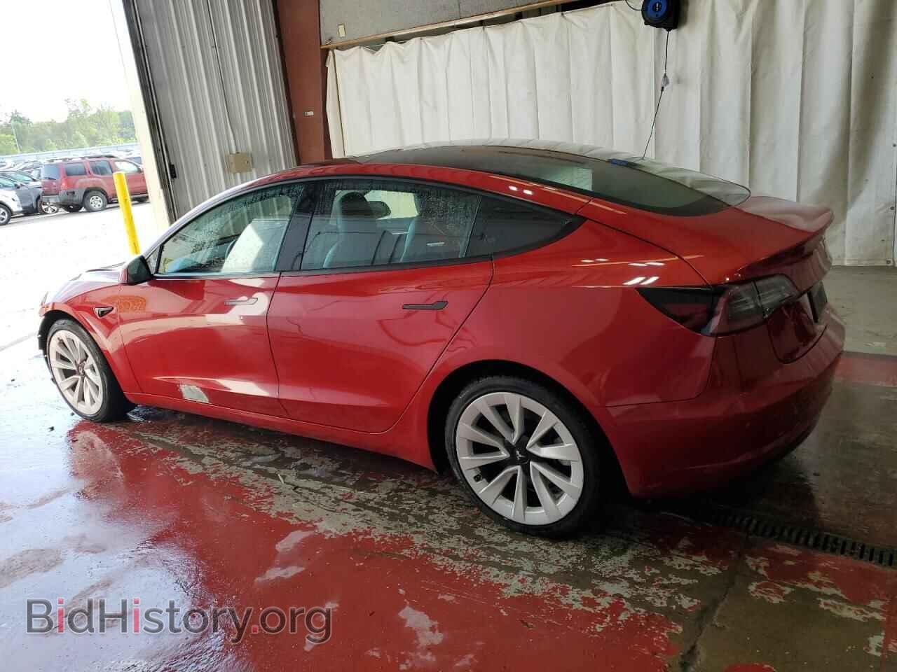 2023 TESLA MODEL 3 - VIN: 5YJ3E1EAXPF448716 - Фото 2