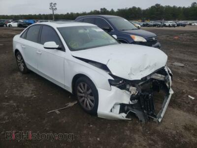 2012 Audi A4 A4 Premium, white — VIN WAUDFAFL9CN013647, Copart