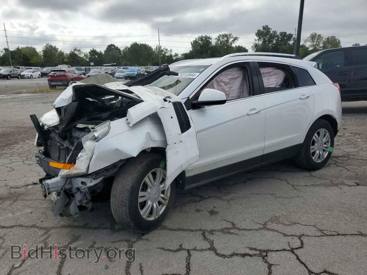 Photo 3GYFNDEY4BS557808 - CADILLAC SRX 2011