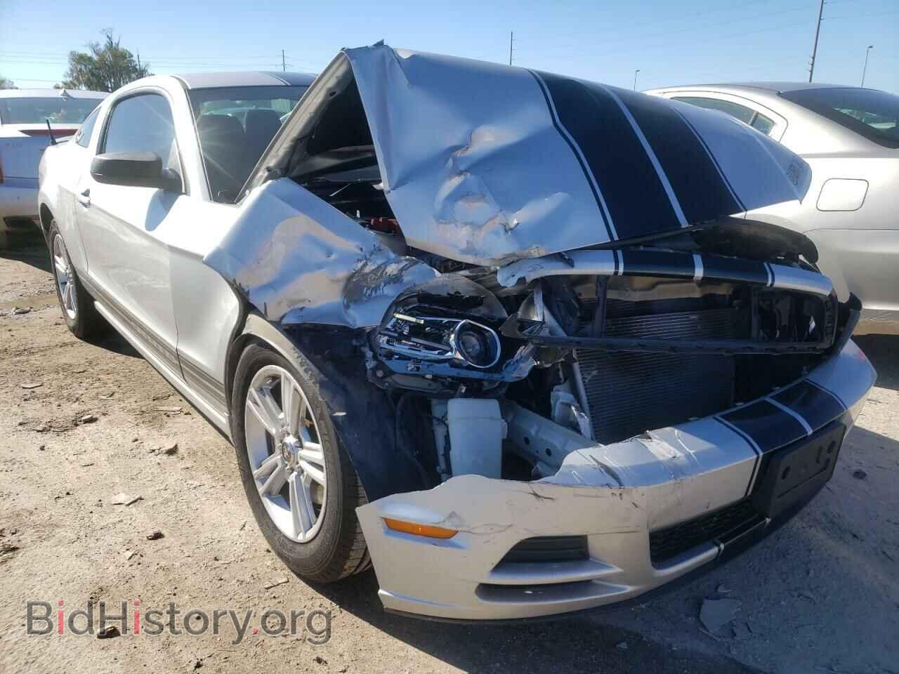 Фотография 1ZVBP8AM8D5265968 - FORD MUSTANG 2013
