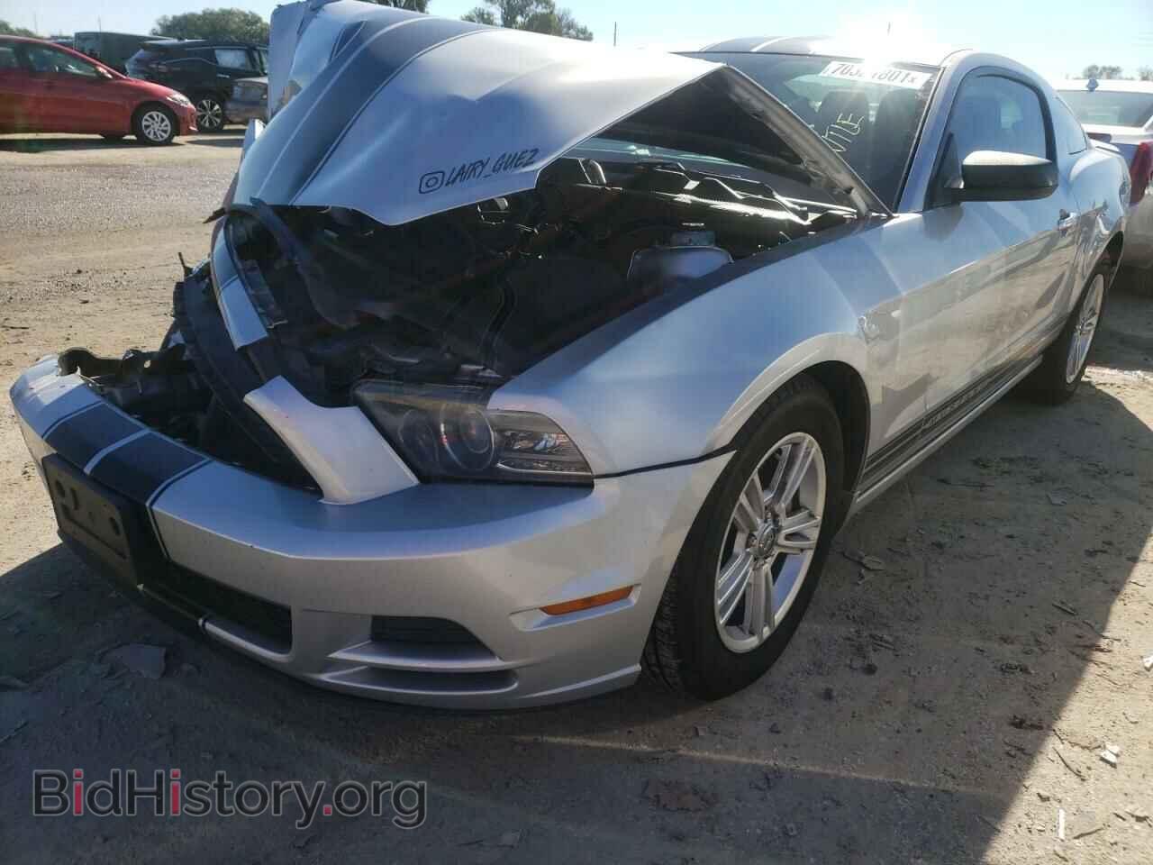 2013 FORD MUSTANG - VIN: 1ZVBP8AM8D5265968 - Фото 2
