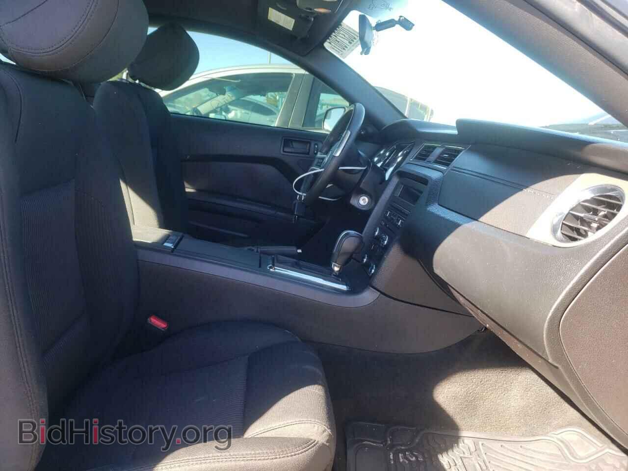 2013 FORD MUSTANG - VIN: 1ZVBP8AM8D5265968 - Фото 5