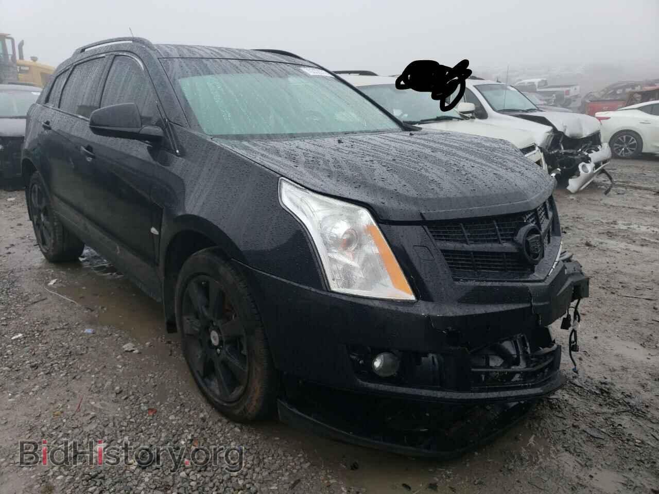 2010 CADILLAC SRX - VIN: 3GYFNCEY9AS574080 - Фото 4