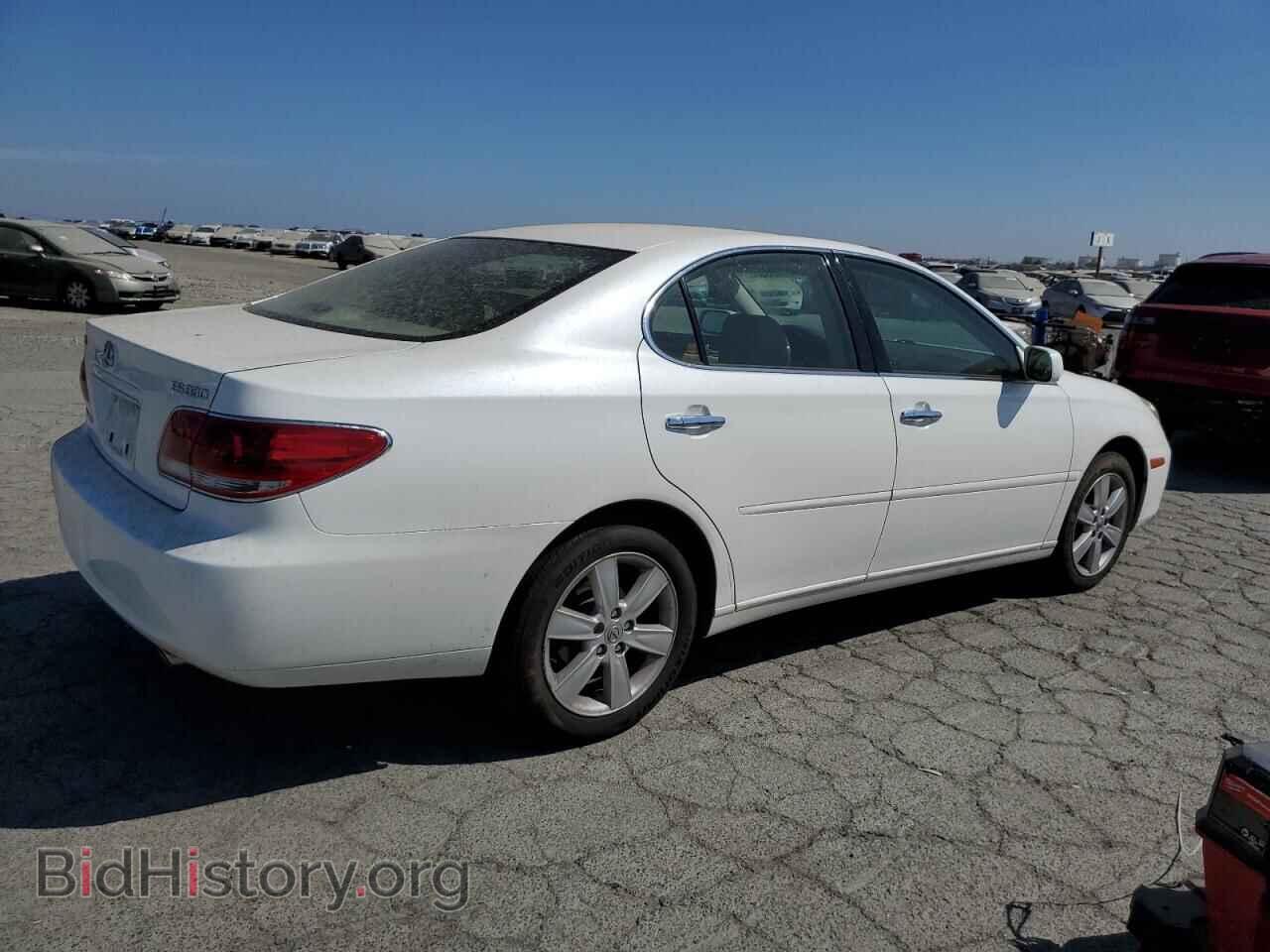 2006 LEXUS ES330 - VIN: JTHBA30G865145169 - Фото 3