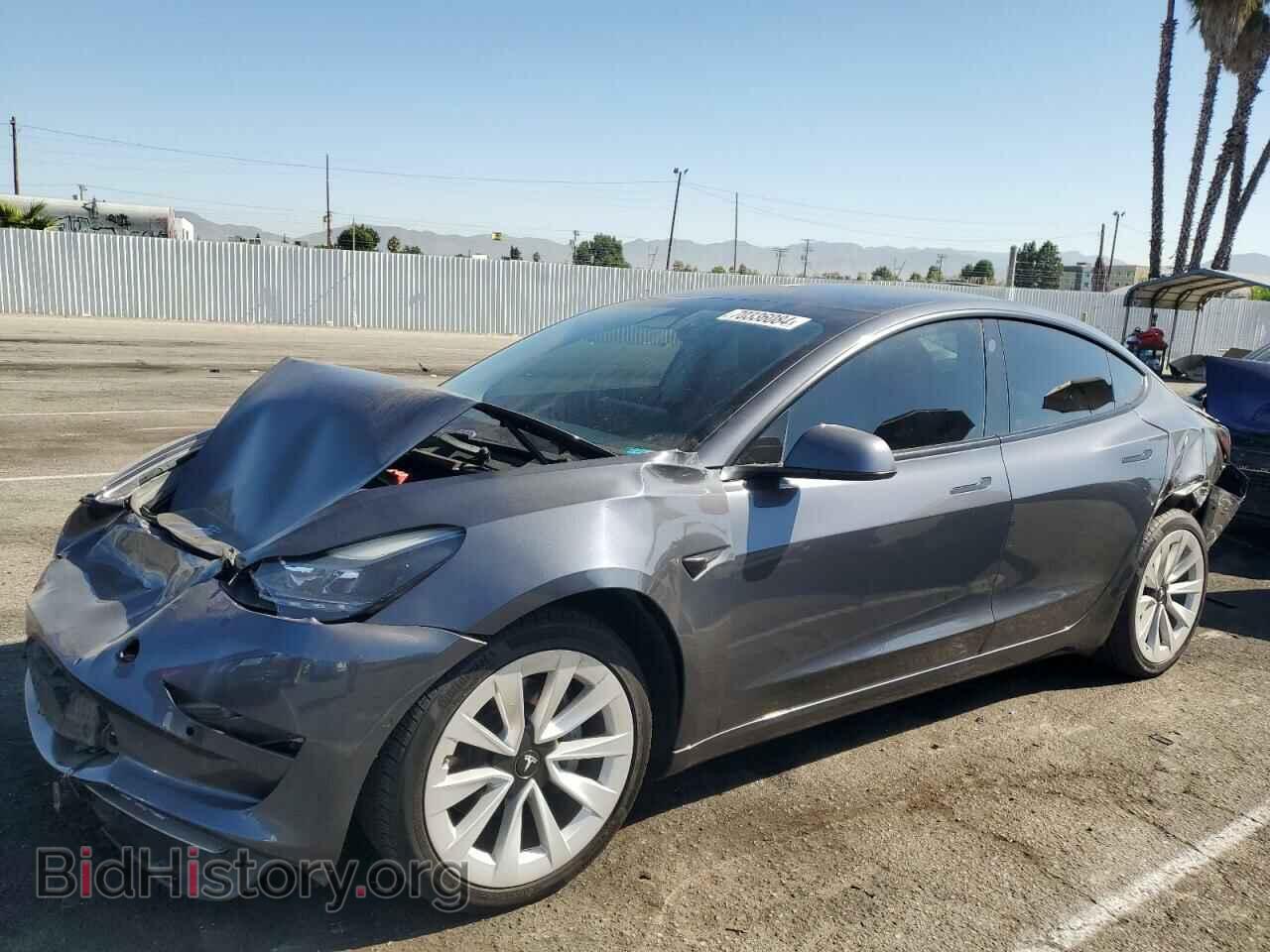 Photo 5YJ3E1EB4MF877242 - TESLA MODEL 3 2021