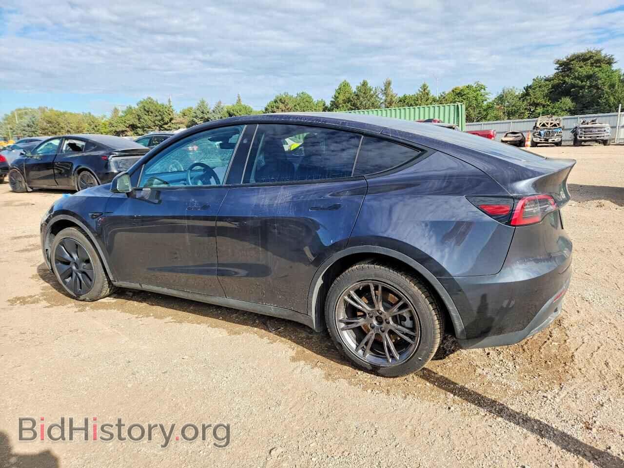 2024 TESLA MODEL Y - VIN: 7SAYGDED9RF186124 - Фото 2
