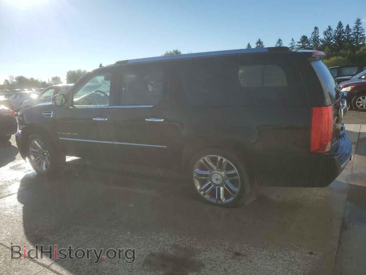 2010 CADILLAC ESCALADE - VIN: 1GYUKKEF8AR280407 - Фото 2