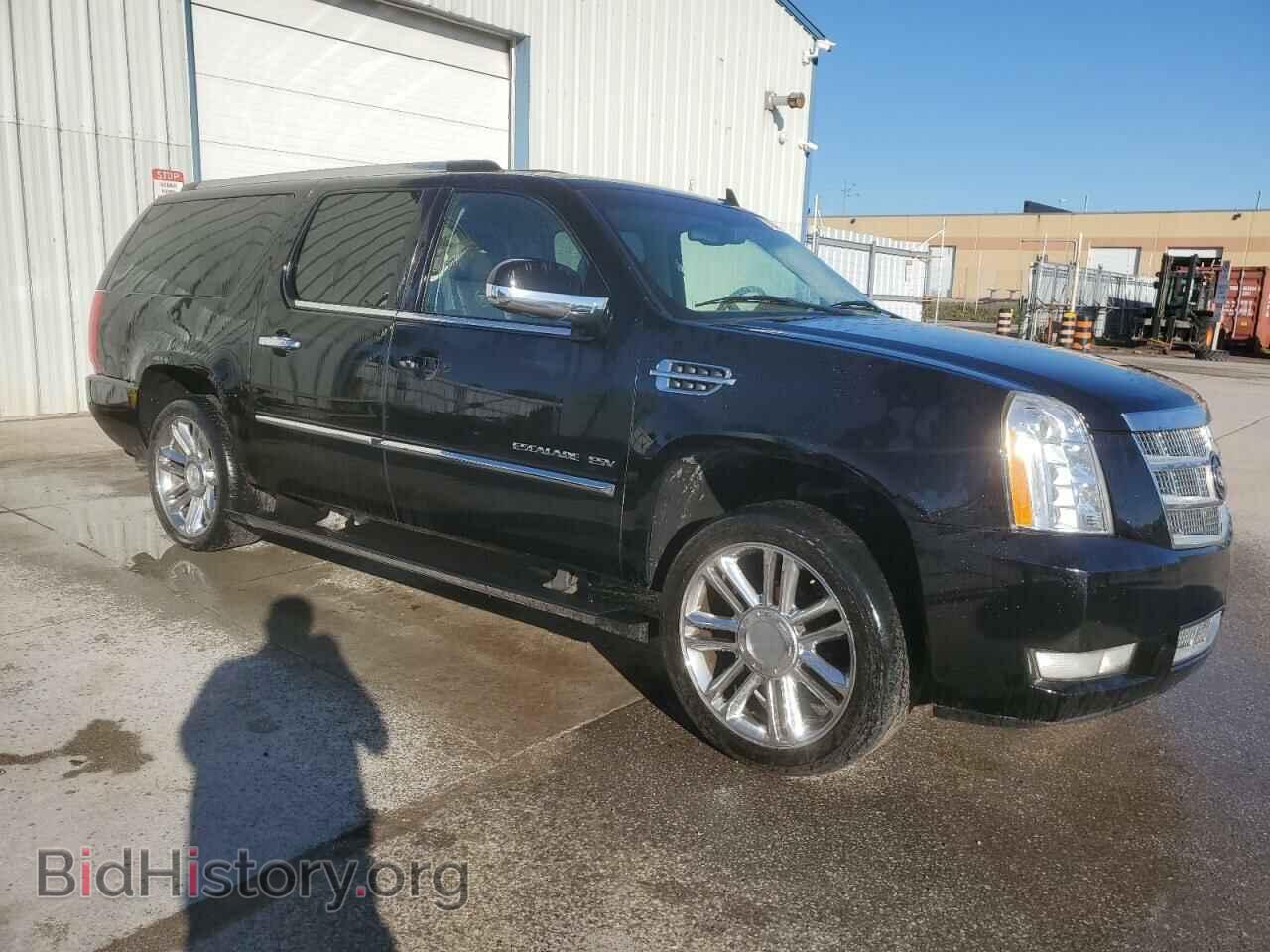 2010 CADILLAC ESCALADE - VIN: 1GYUKKEF8AR280407 - Фото 4