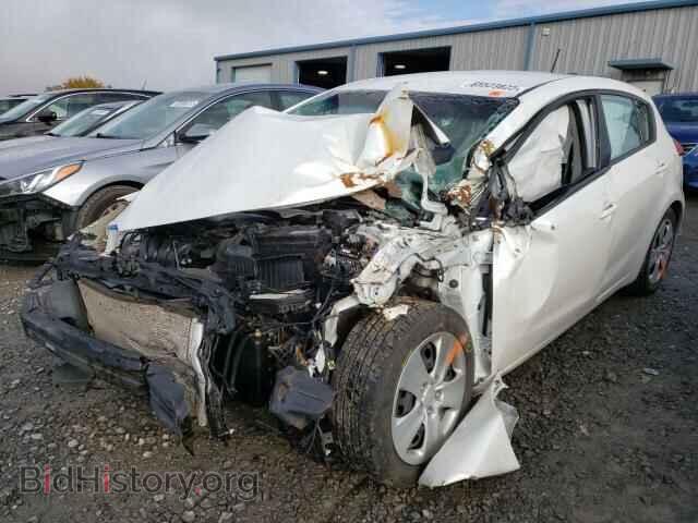 2016 KIA FORTE - VIN: KNAFK5A82G5651128 - Фото 2