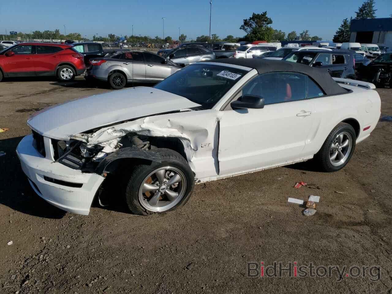 Photo 1ZVHT85H565148919 - FORD MUSTANG 2006