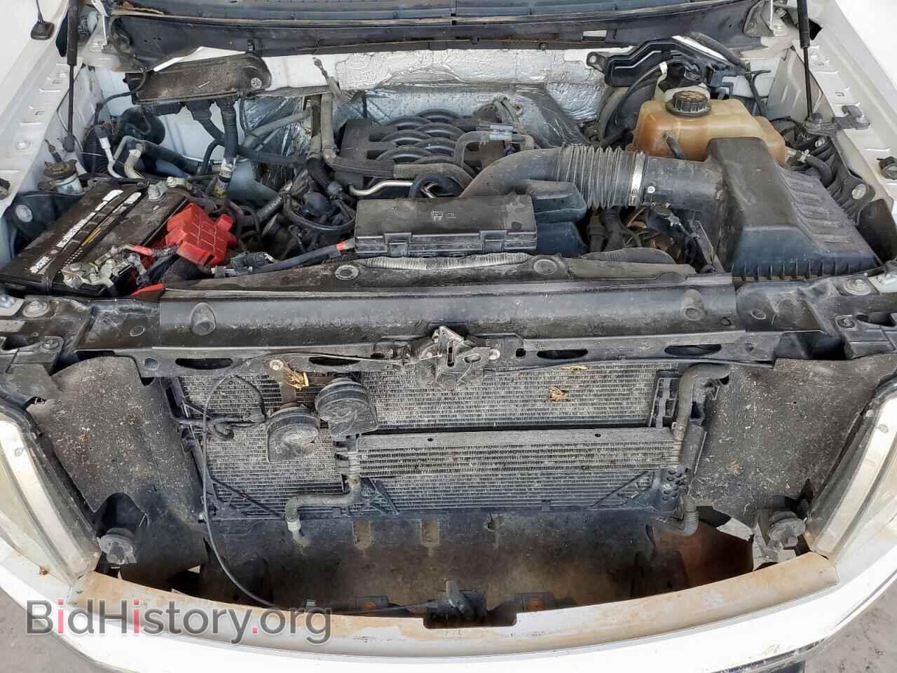 2011 FORD F-150 - VIN: 1FTFX1EF3BFB70507 - Фото 11