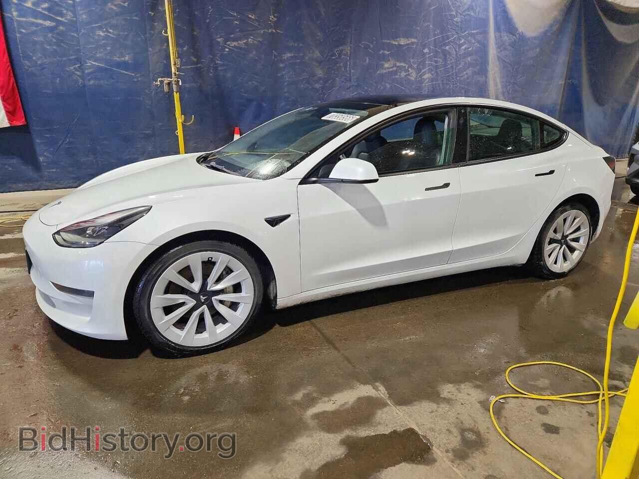 Photo 5YJ3E1EA0PF450782 - TESLA MODEL 3 2023
