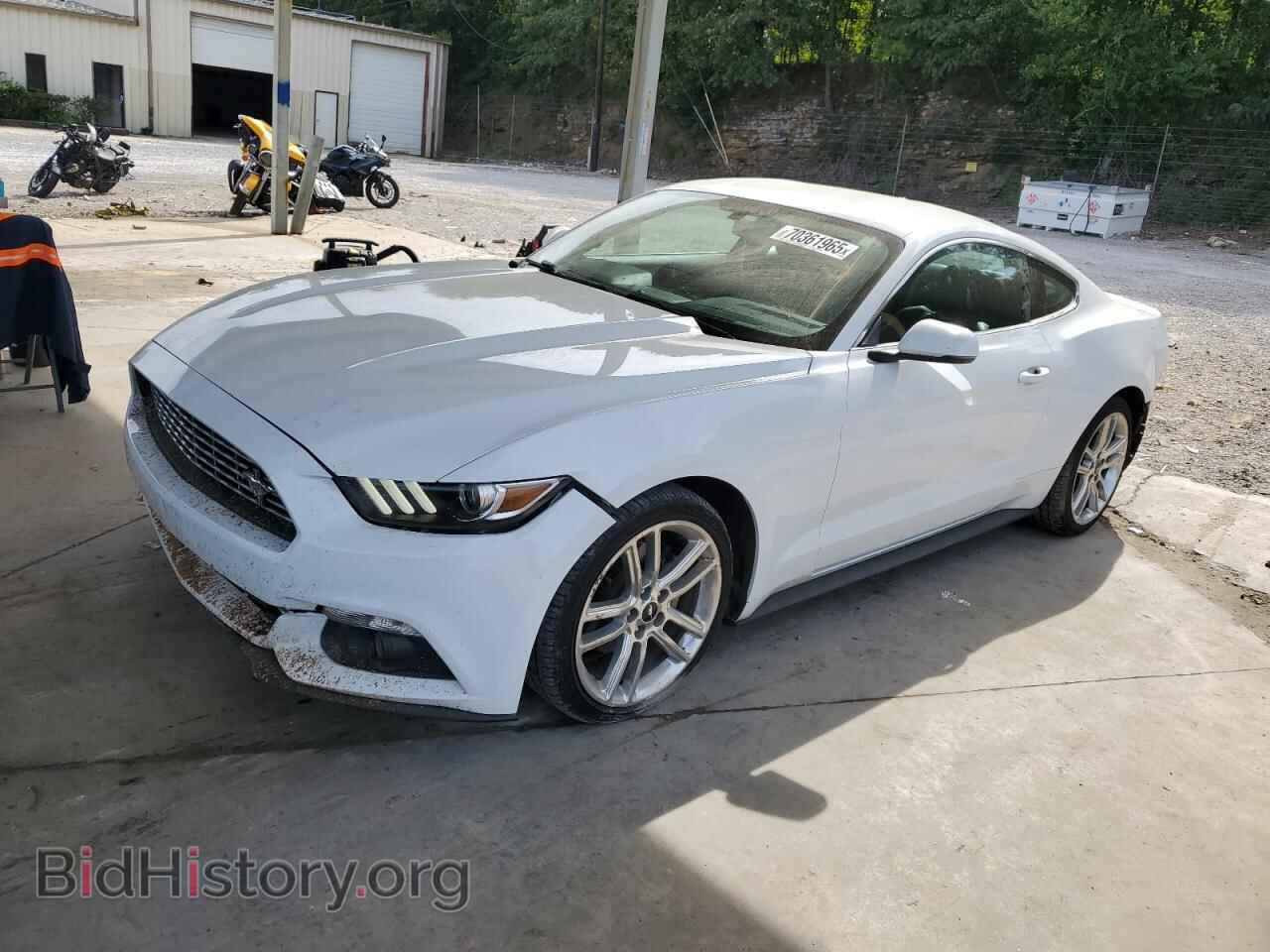 Фотография 1FA6P8TH4H5302093 - FORD ALL Models 2017