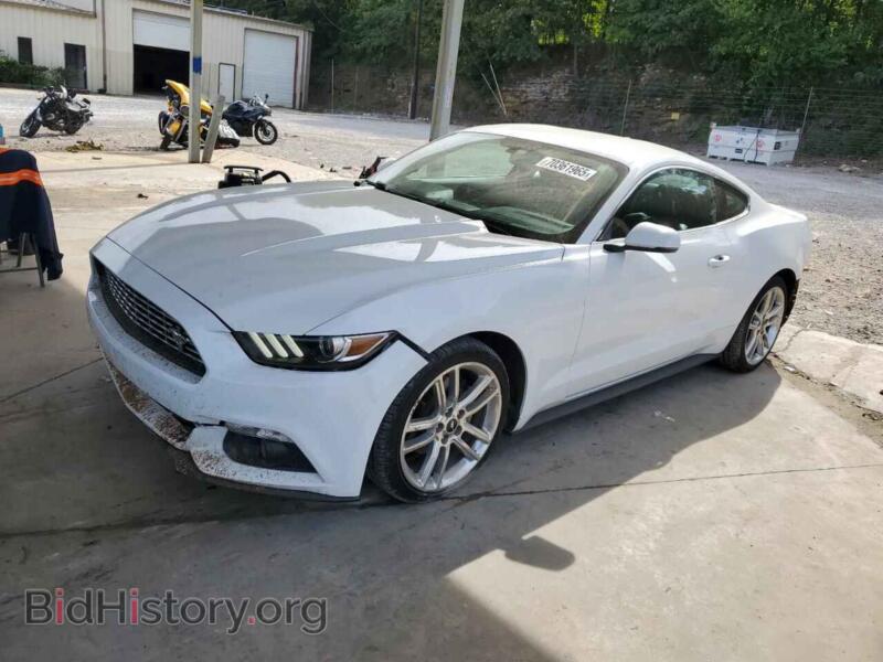 2017 Ford ALL MODELS (VIN 1FA6P8TH4H5302093) — photo 1 of 14, Copart, damage: rear end