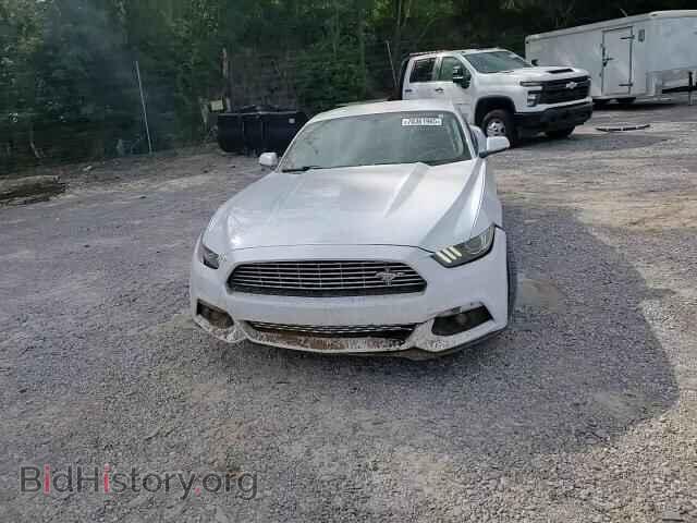 2017 FORD ALL Models - VIN: 1FA6P8TH4H5302093 - Фото 13