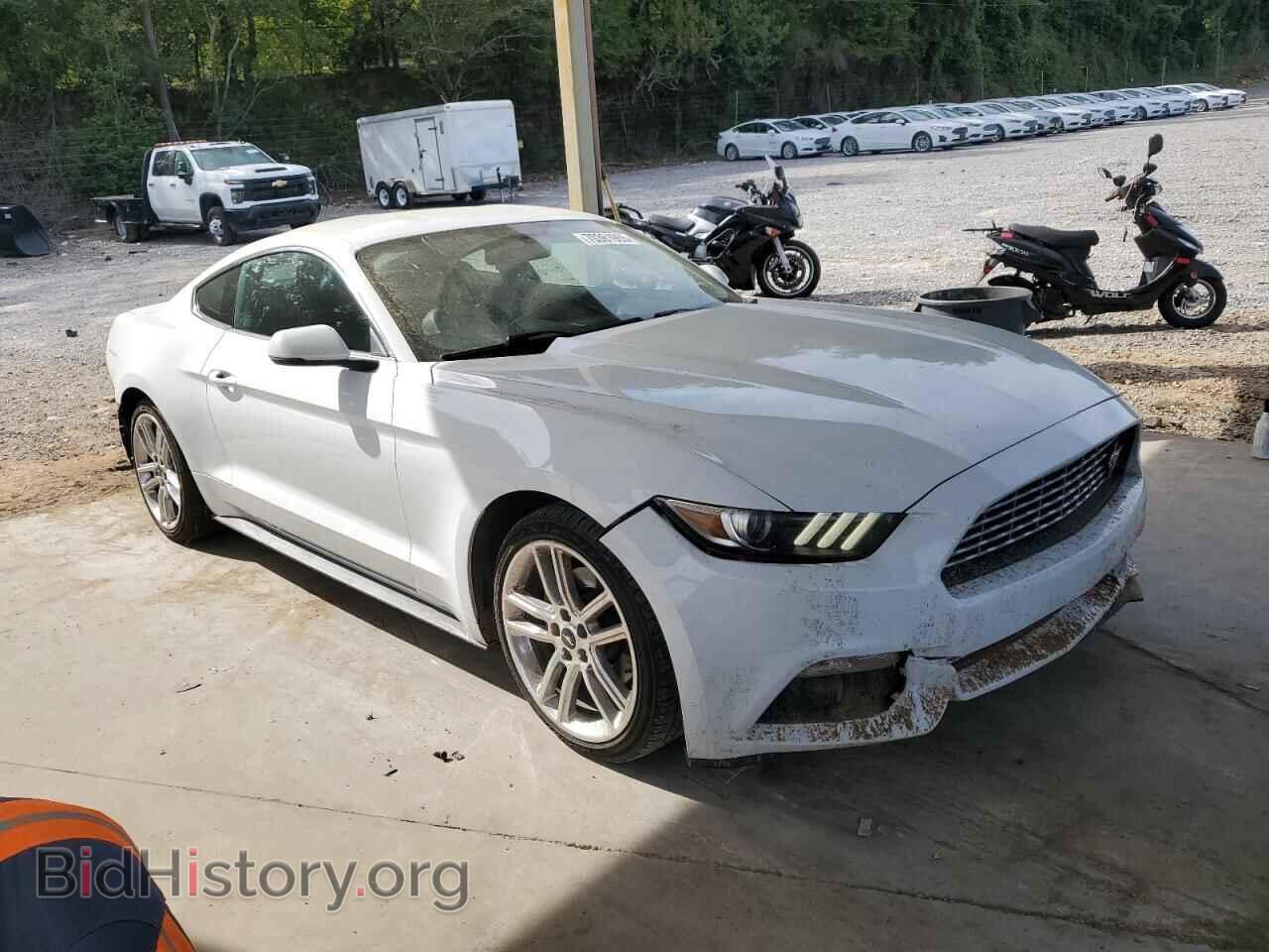2017 FORD ALL Models - VIN: 1FA6P8TH4H5302093 - Фото 4