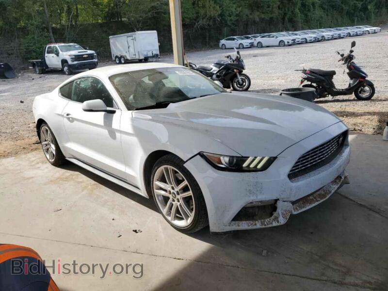 2017 Ford ALL MODELS (VIN 1FA6P8TH4H5302093) — photo 4 of 14