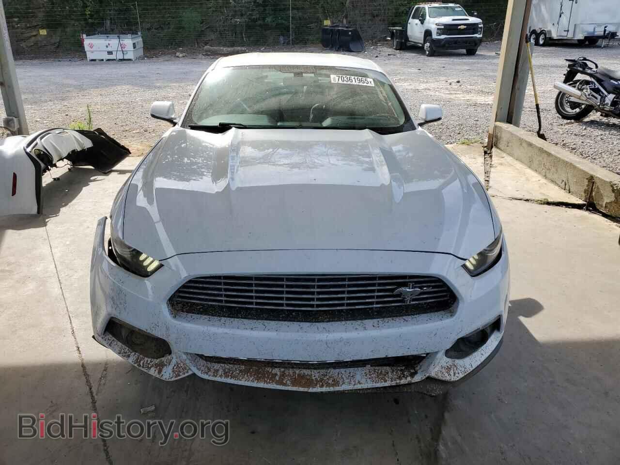 2017 FORD ALL Models - VIN: 1FA6P8TH4H5302093 - Фото 5