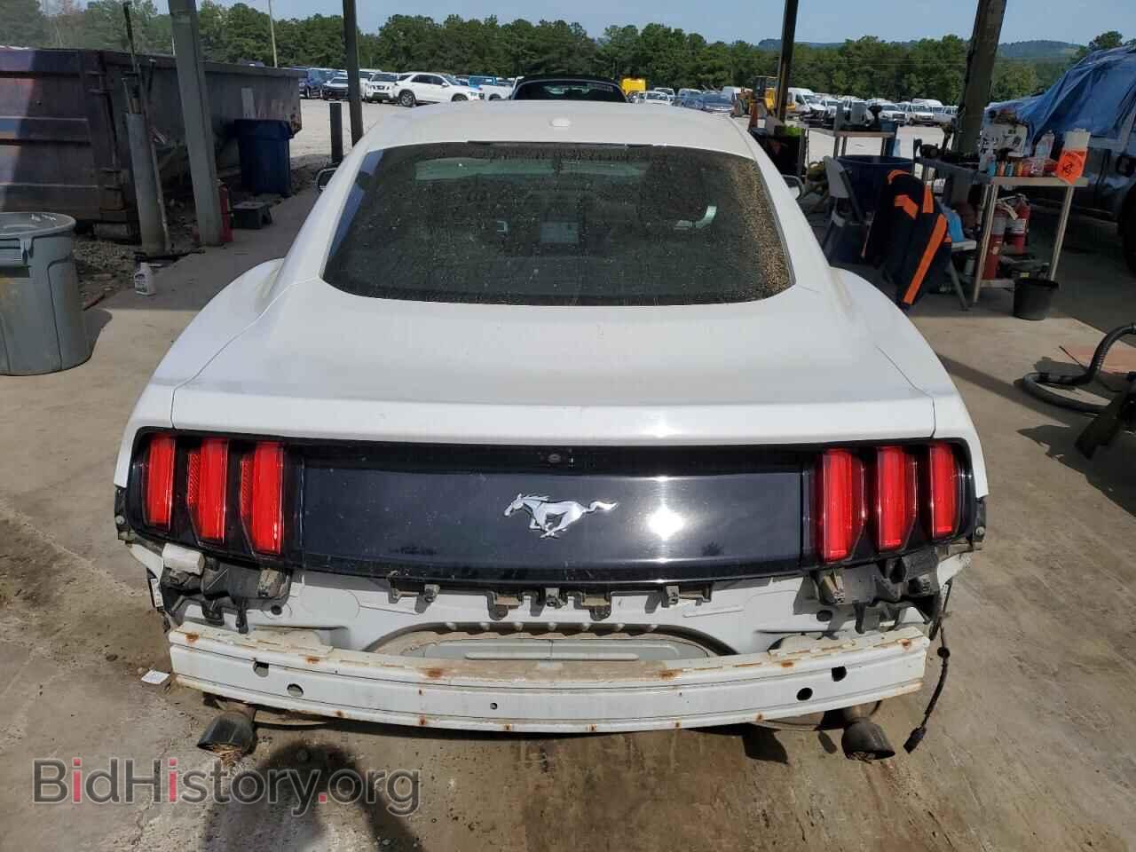 2017 FORD ALL Models - VIN: 1FA6P8TH4H5302093 - Фото 6