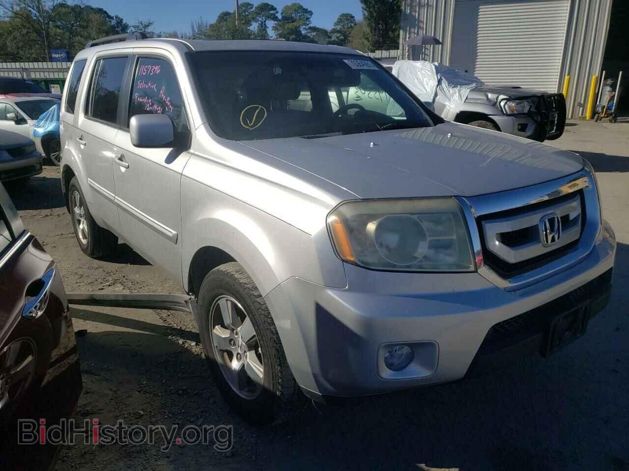 Фотография 5FNYF38699B005532 - HONDA PILOT 2009