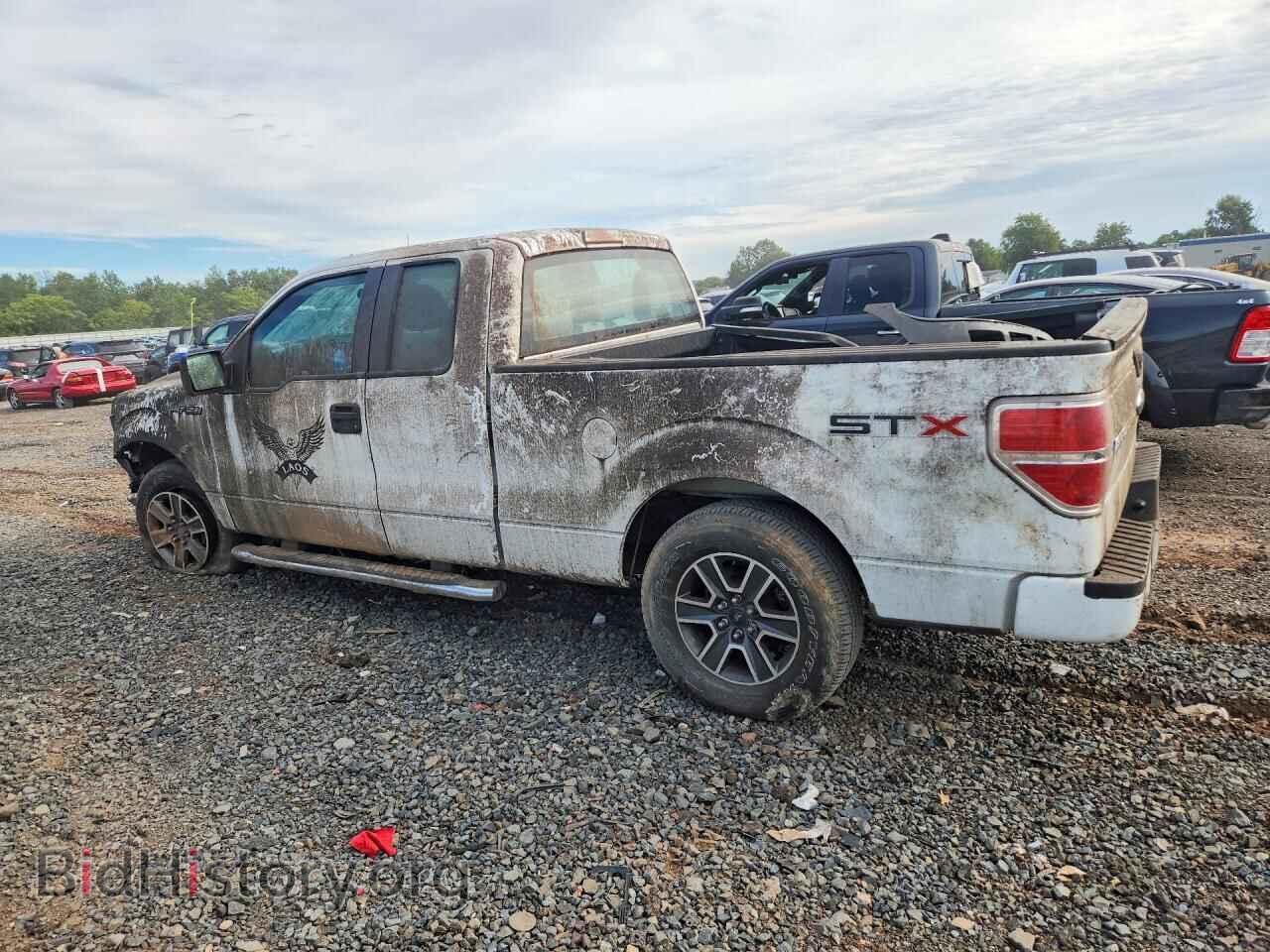 2011 FORD F150 - VIN: 1FTEX1CM9BFA29504 - Фото 2