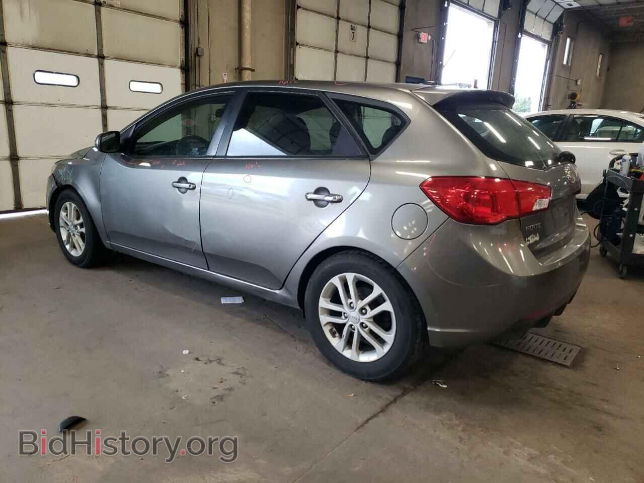 2011 KIA FORTE - VIN: KNAFU5A26B5398037 - Фото 2
